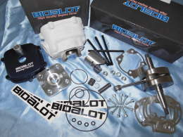 Maxi kit avec vilebrequin (vilo), rechanges, joints, pistons, ... MINARELLI AM6