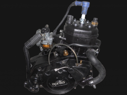 50cc MINARELLI RV6 engine, RV5, RV4, RV3 MORINI & G303, G304 ...