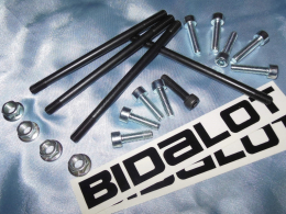 Accessories, various parts (bolts, screws, wedges ...) for maxi kit DERBI euro 3