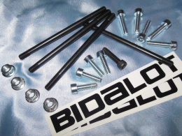 Accessories, various parts (bolts, screws, wedges ...) for maxi kit DERBI euro 1 & 2