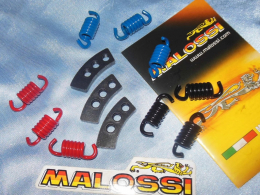 clutch springs for Derbi scooter (ATLANTIS, GP1, PREDATOR ...)