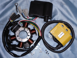 Parts of preparation / repair and original ignition de-clamping MINARELLI AM6