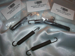 exhaust springs MINARELLI AM6