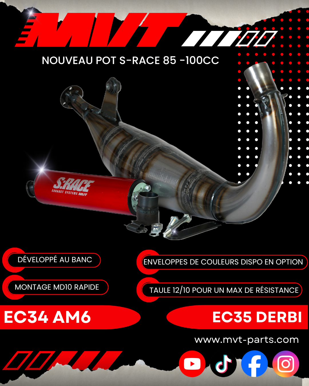 pot S RACE 85 100cc AM6