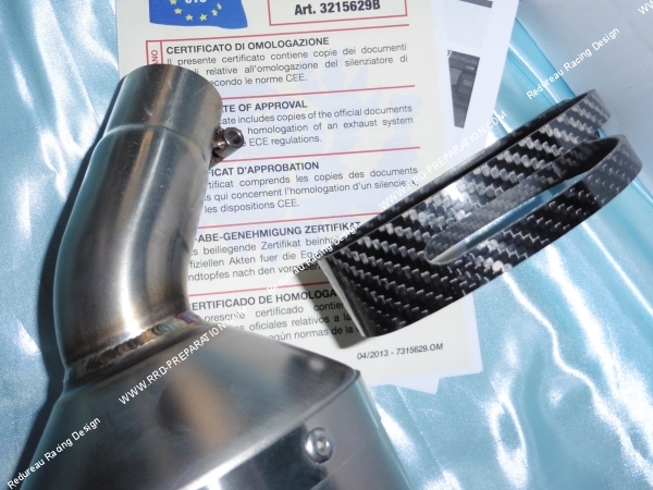 Photo du silencieux et du collier en carbone MALOSSI MAXI WILD LION pour Maxi-Scooter BMW C 600 ie 4T avant 2015