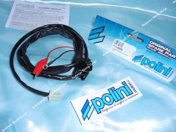 Photo du câblage POLINI pour boitier CDI ECU POLINI maxi-scooter 4 temps PIAGGIO BERVERLY 350cc, FLY 125cc, VESPA 125 / 150 & 300cc