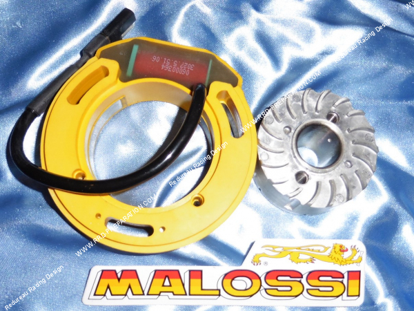 Photo du rotor et stator MALOSSI SELETTRA pour PIT BIKE, HONDA NSF 100