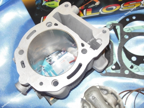 piston Kit 218cc MALOSSI Ø75,5mm, cylindre  piston pour APRILIA SR Max, PIAGGIO BEVERLY,...