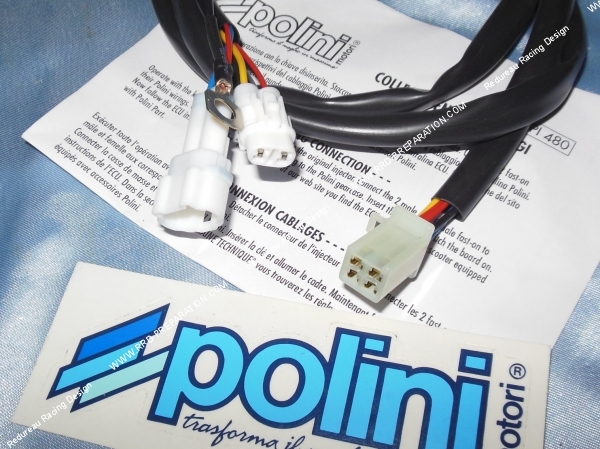 vue Câblage POLINI pour boitier CDI ECU POLINI maxi-scooter 4 temps YAMAHA X-MAX 125cc, MBK CITYLINER 125cc... 2010