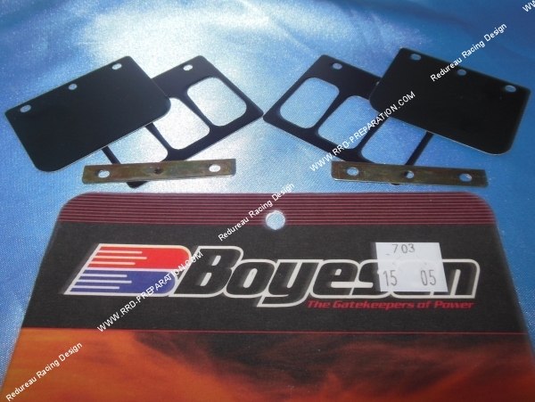 vue Lamelles de clapets compétition BOYESEN moto 125cc HONDA NSR F, NSR R, RS...